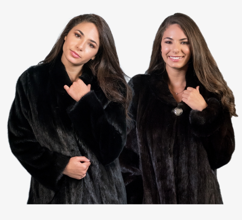 King Slider Images - Fur Clothing, transparent png