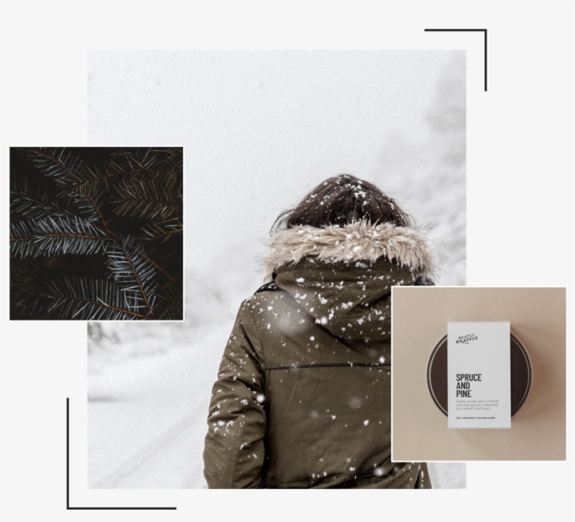 Lookbook Montage Sprucepine - Magic Of Winter, transparent png