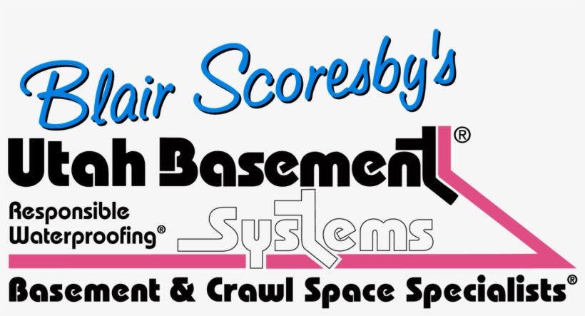 Basement Floor & Wall Crack Repair - Welcome To The Zoo, transparent png