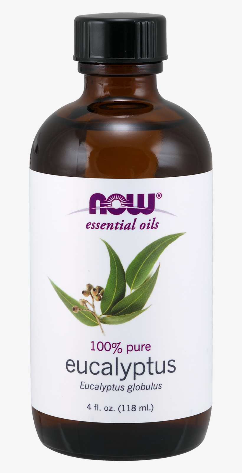 Now Eucalyptus Oil - Essential Oil Eucalyptus, transparent png
