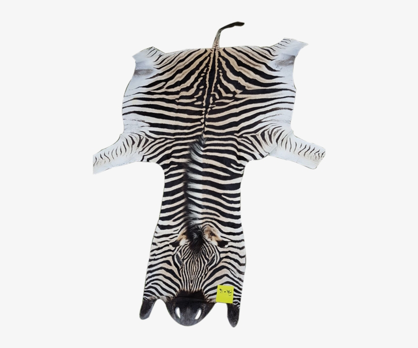 Zebra Skin Pa-16 - Zebra, transparent png