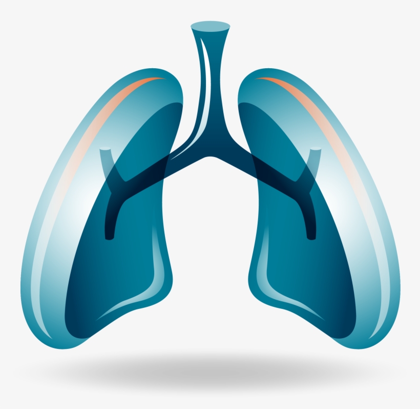 Cell Lung Non-small Nivolumab Cancer Png Free Photo - Opdivo Lung Cancer, transparent png