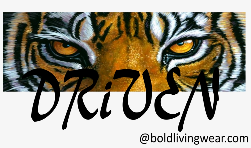 S769520350182633219 P66 I4 W2560 - Hahnville High School Mascot, transparent png