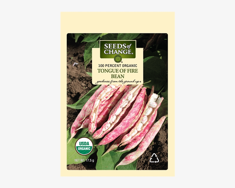 Organic Tongue Of Fire Dry Soup Bean Seeds - Organic, transparent png