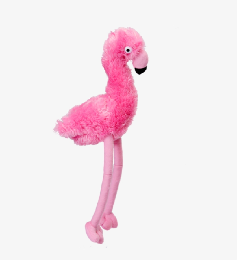 Pink Flamingo - Gor Hugs Flamingo, transparent png