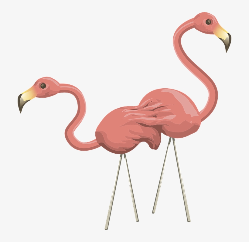 Flamingos, Pink, Birds, Wildlife, Two, Pair - การ์ตูน นก ฟ ลา มิ ง โก้ Png, transparent png
