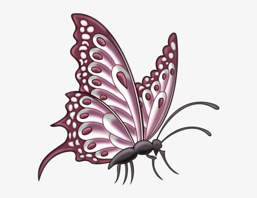 Image Du Blog Zezete2 - Pink Butterfly Side, transparent png