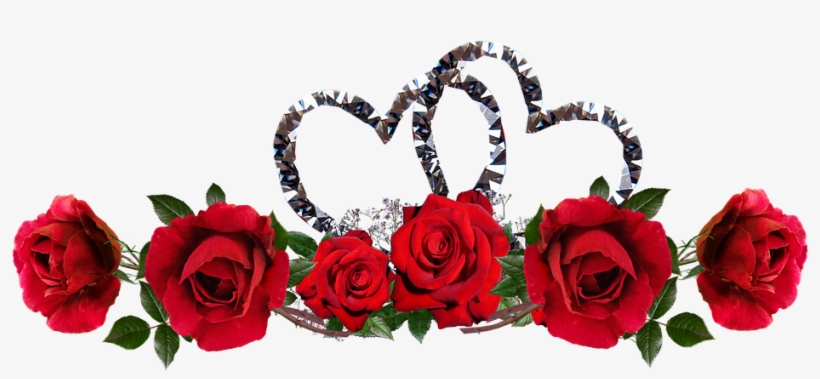 Valentine Roses Red Flowers Hearts Entwined Valentine Rose 960x388 Png Download Pngkit
