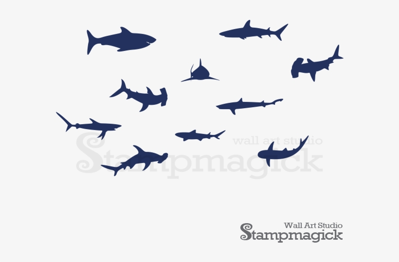 Shark, transparent png