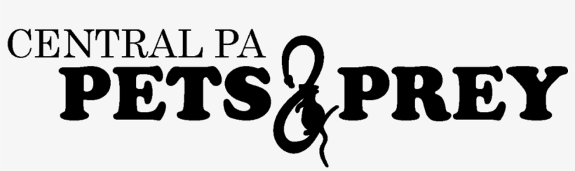 This Is An Alternate Logo For Things Like Social Media - Love, transparent png