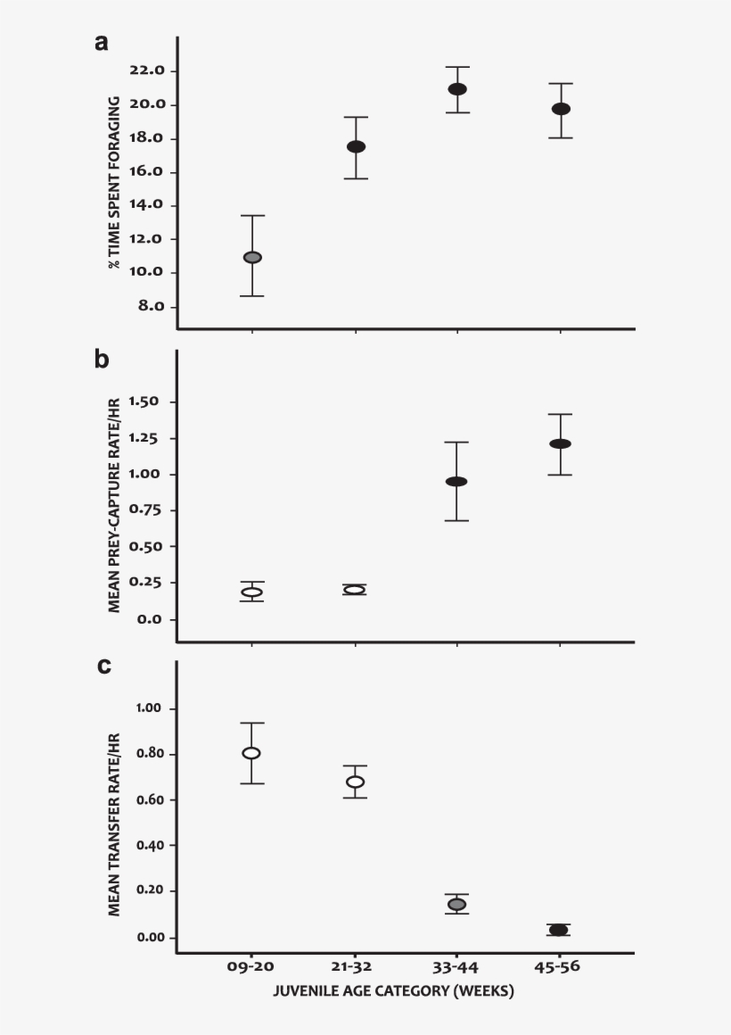 Development Of Prey Acquisition - Number, transparent png