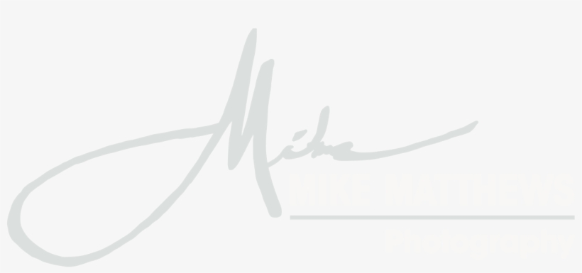 Logo - Graphic Design, transparent png