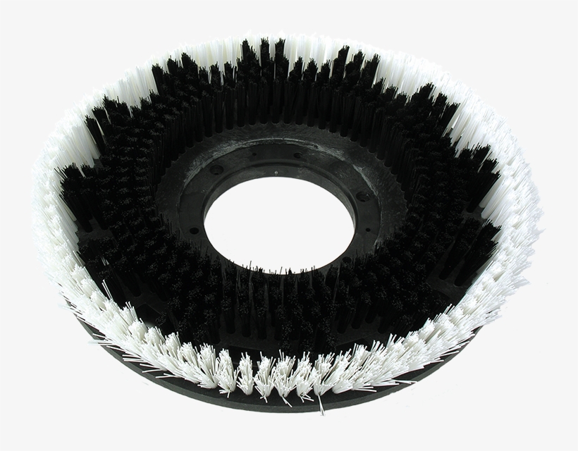 Maxiplus® Rotary Carpet Brushes - Circle, transparent png