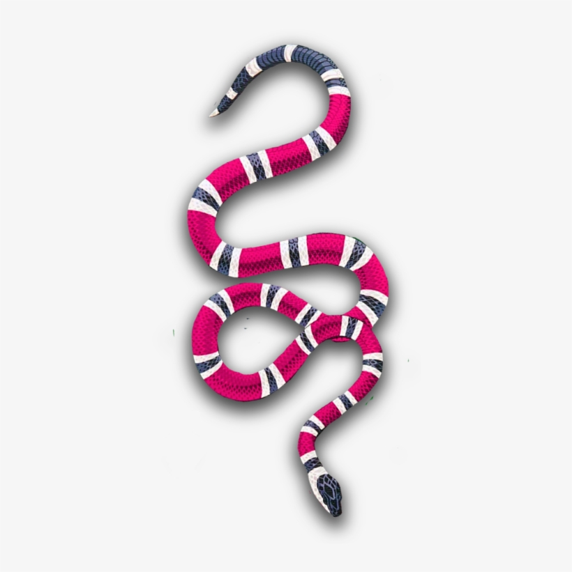 Sea Snake, transparent png