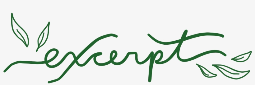 Will Receive Their Choice Of A Signed Copy Of The Light - Calligraphy, transparent png