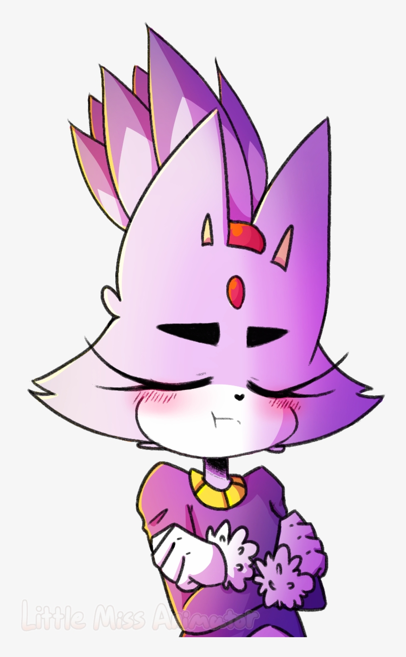 Sth Sonic Sonic The Hedgehog Blaze Blaze The Cat Art - Cartoon, transparent png