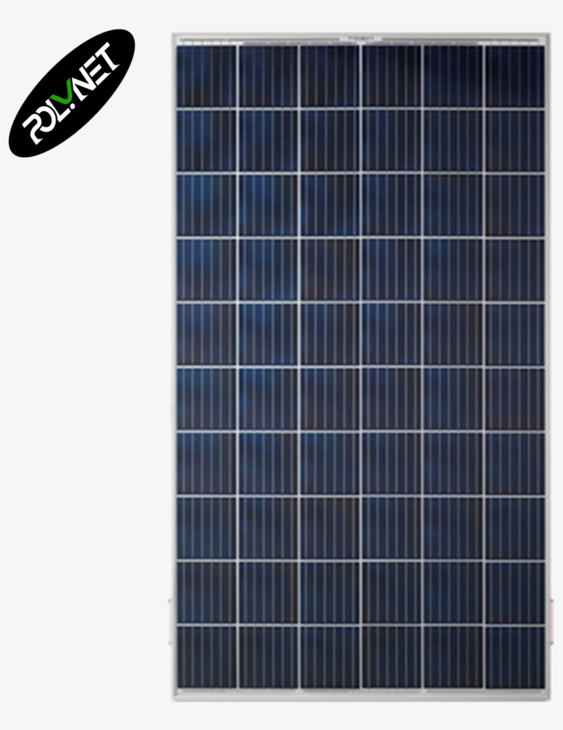 sheldon cooper caracteristicas