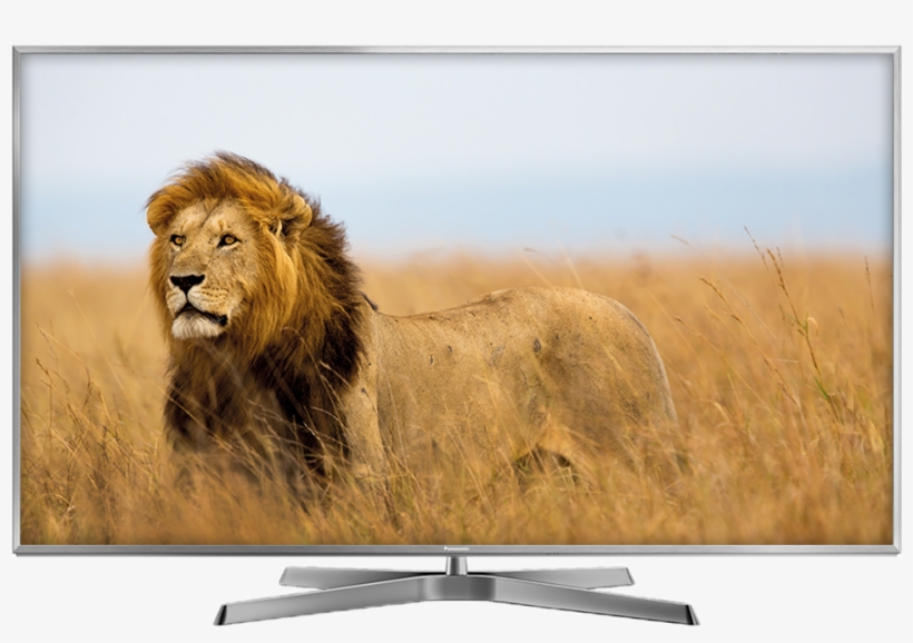 Pana Tv Ex750 - Safari Adventure, transparent png