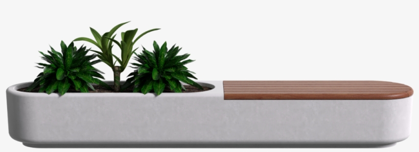 Check Out The Deco Product Card To See The Multiple - Houseplant, transparent png