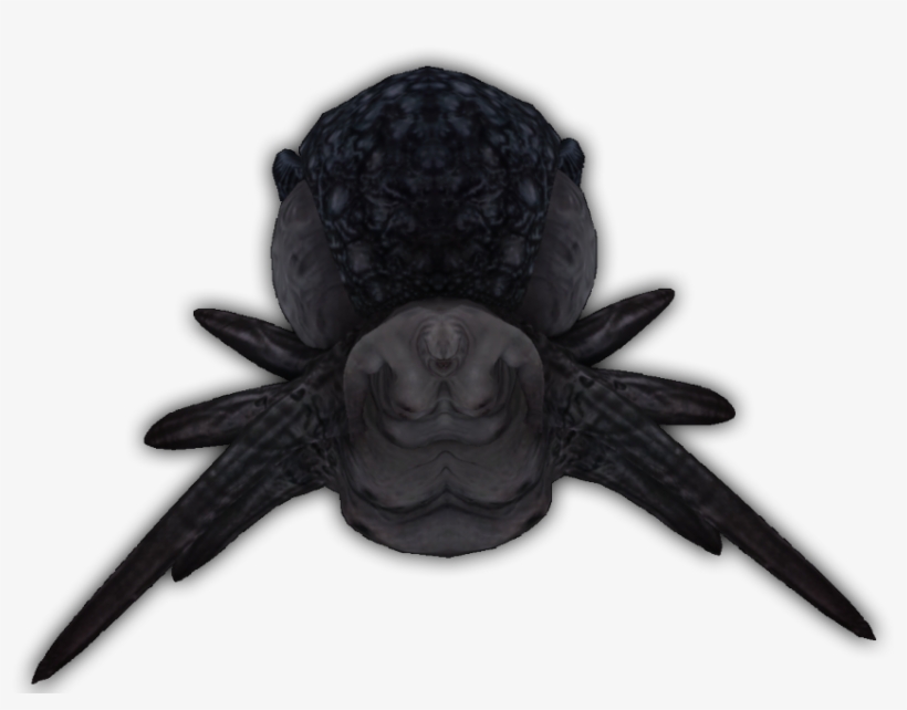 Broodmother Ari - Octopus, transparent png