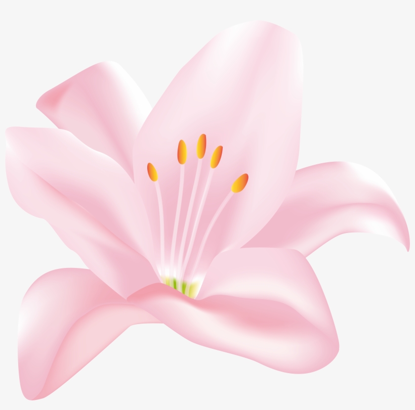 Pink Flower Clip Art Png Transparent Image, transparent png