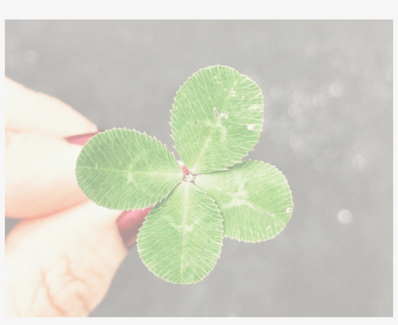 Success In Freelancing - Dzień Szczęścia, transparent png