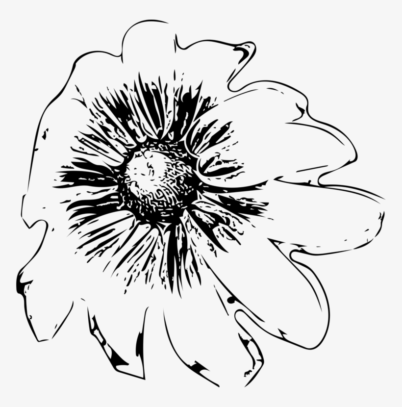 Floral Design Cut Flowers Drawing Monochrome - Sunflower, transparent png