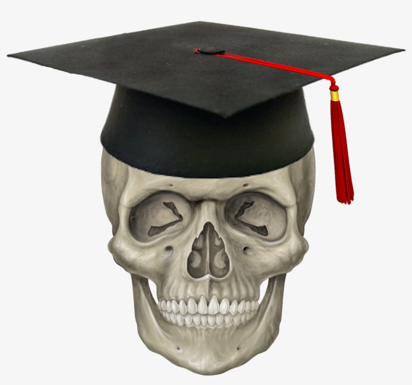 Cap & Skull - Skeleton Head Png, transparent png