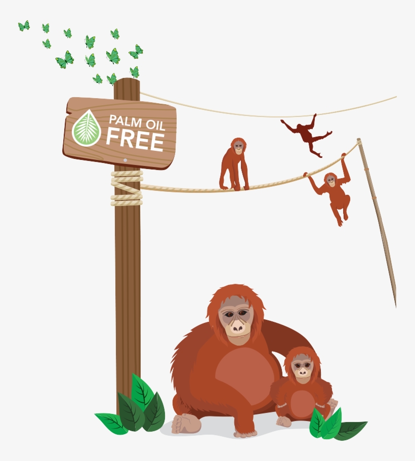 Use The Links Under Useful Sources Of Information To - Palm Oil Cartoon, transparent png