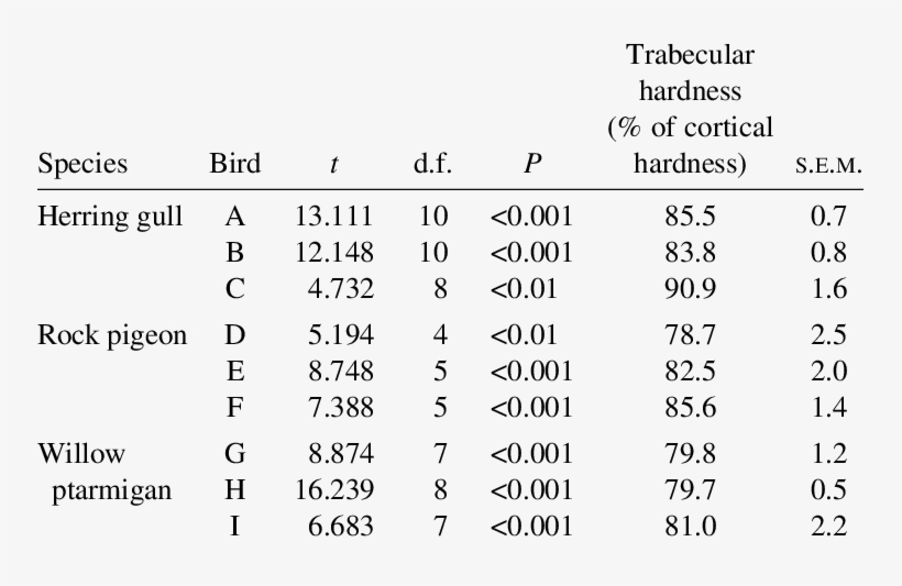 Significance Of, And Percentage Difference Between, - Number, transparent png