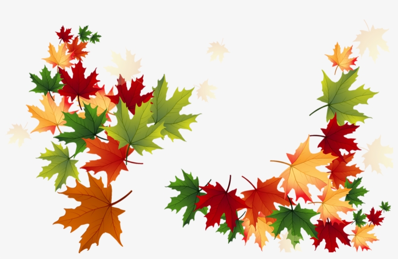 Feuillage D'automne - Clip Art, transparent png