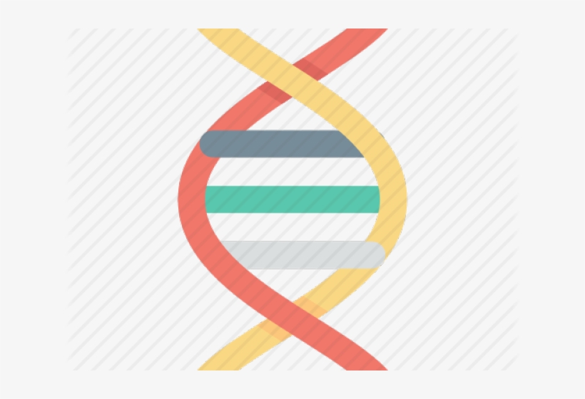 Clipart Dna Helix, transparent png