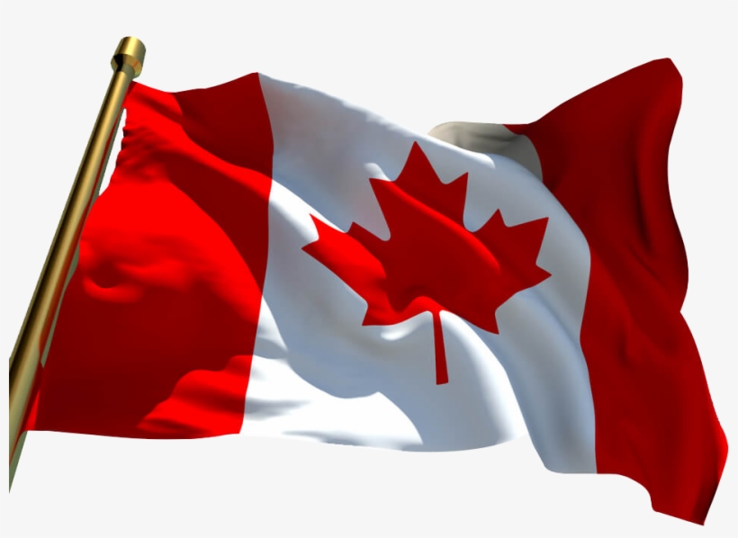 Canadian Citizenship Test Waiving Flag - Canadian Citizenship Test 2018, transparent png