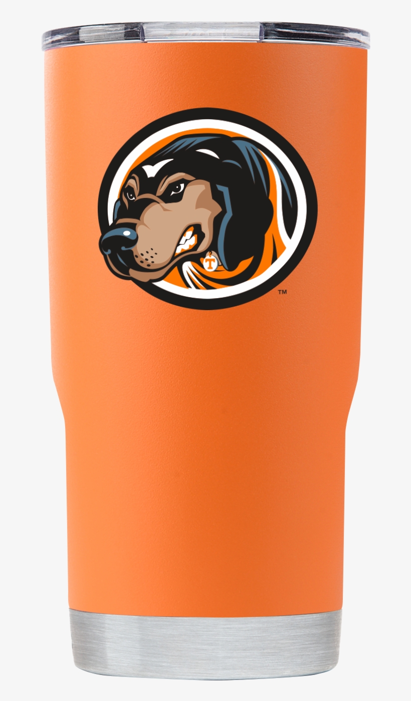 Lion, transparent png