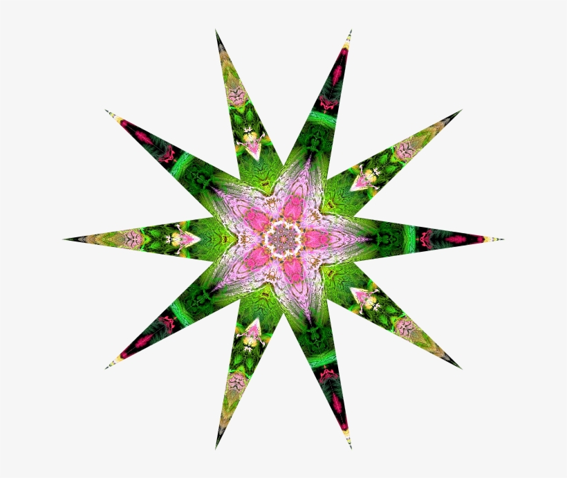 The Star Can Be Of Two Types - Illustration, transparent png