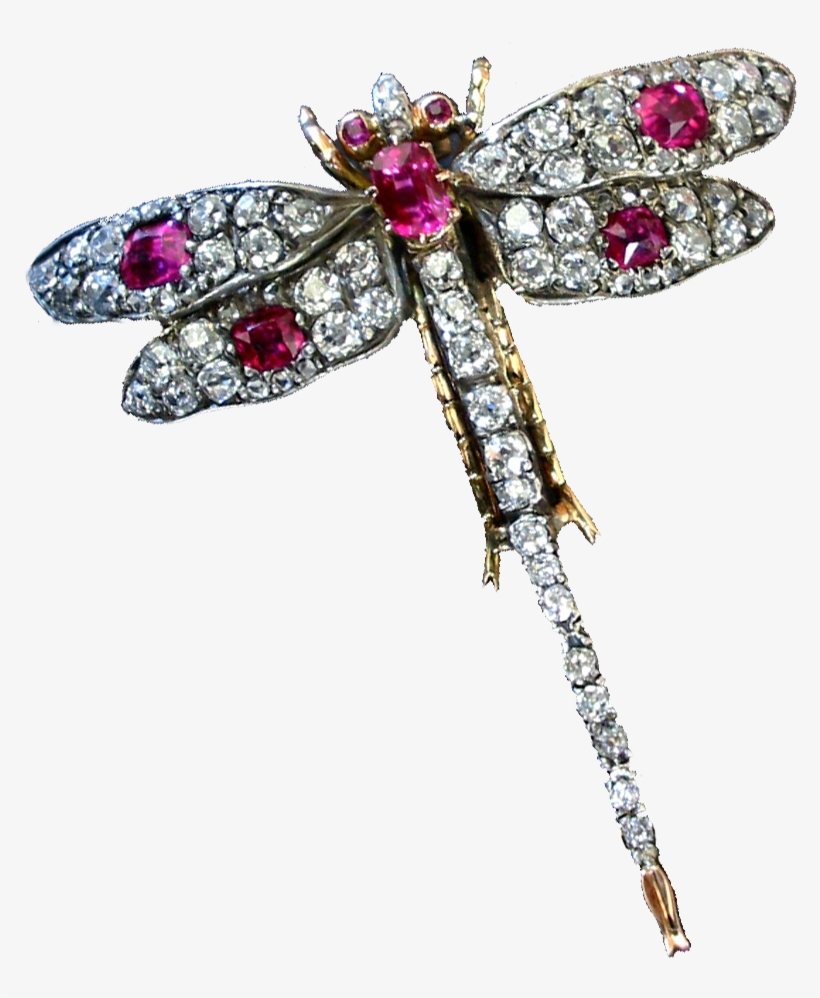 807 X 943 2 - Insect Jewellery, transparent png