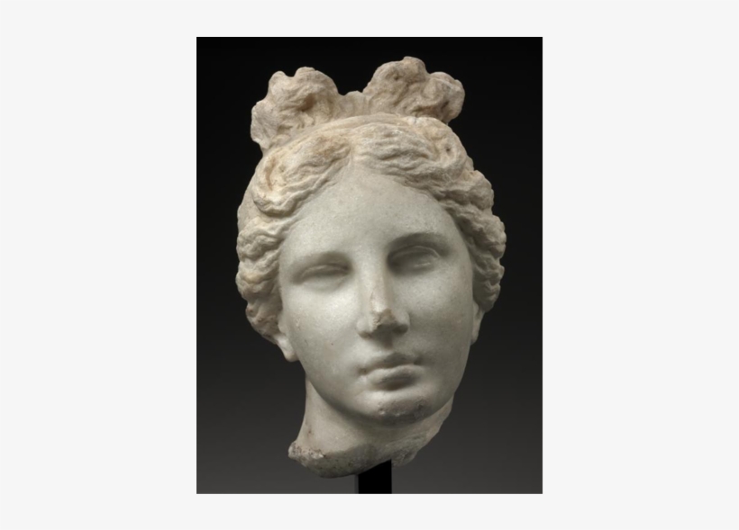She May Have Had A Last Name Said To Be Pendemos - Head Of Aphrodite Bartlett Head, transparent png
