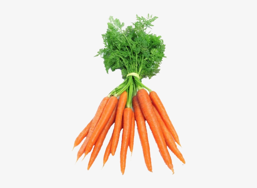 Zanahoria Manojos - Dutch Carrots, transparent png