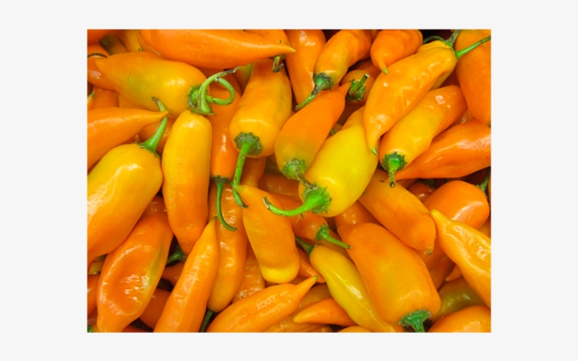 Aji Zanahoria - Aji Pepper, transparent png