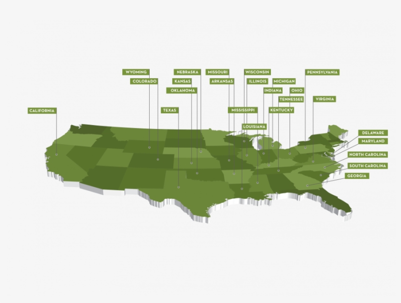 The Data For This Map Is Based On Mexico's Market Ranking - Tree, transparent png