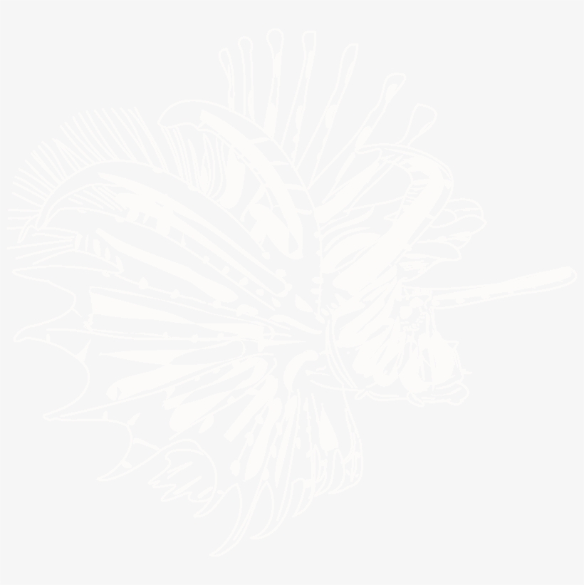 Input Lionfish, transparent png