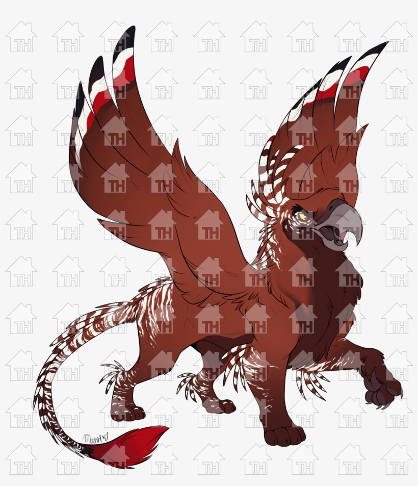 Recent Images - Illustration, transparent png