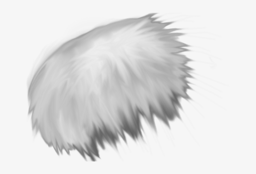 1006 X 477 10 - Fur Texture Png, transparent png
