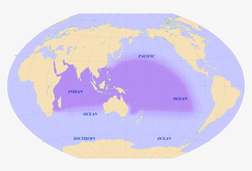 The Lionfish's Native Habitat In The Indo-pacific - Atlas, transparent png