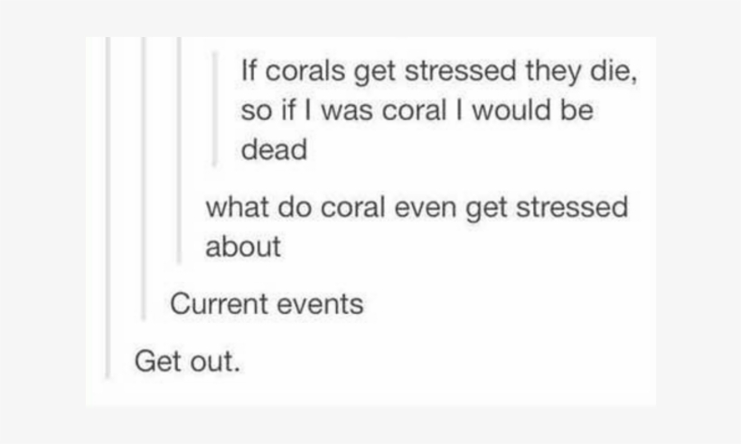 31 Hilarious Jokes That Are Actually Really Clever - Funny Quotes About Justin Bieber, transparent png