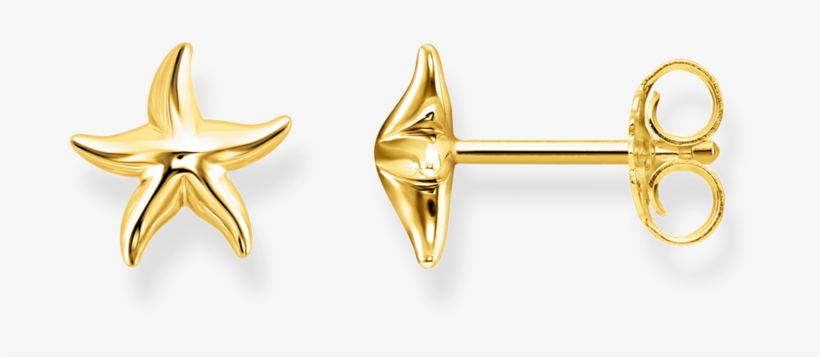 H2001 413 39 Aretes Estrella De Mar - Aretes De Estrella De Mar, transparent png