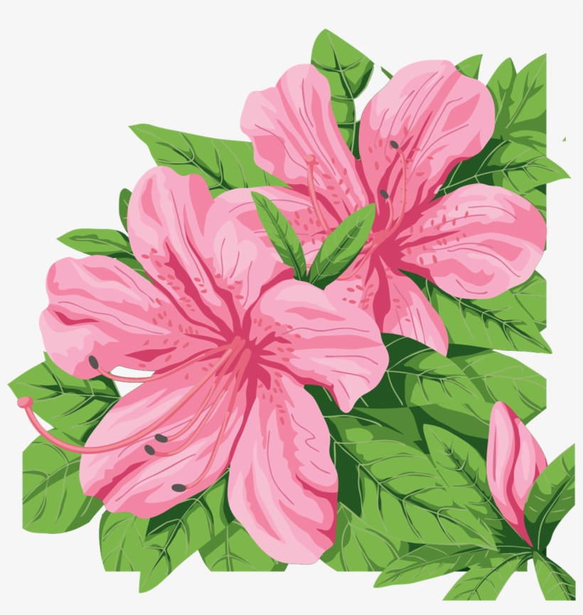 Azalea Clip Art - Stargazer Lily, transparent png