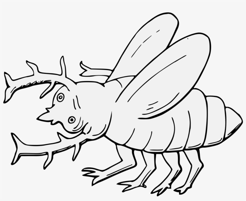 Stag Beetle Fesswise - Line Art, transparent png