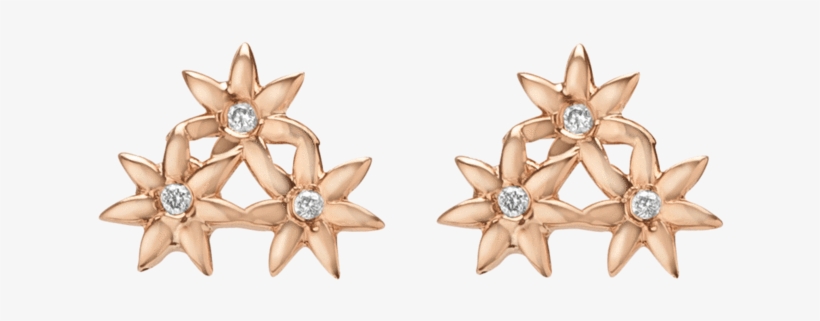 Earrings, transparent png