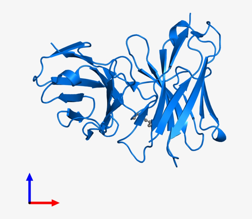 <div Class='caption-body'>pdb Entry 4gqp Contains 1 - Graphic Design, transparent png